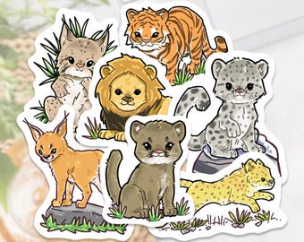 Big Cat Waterproof Sticker Pack: Laptop, Water Bottle, and More