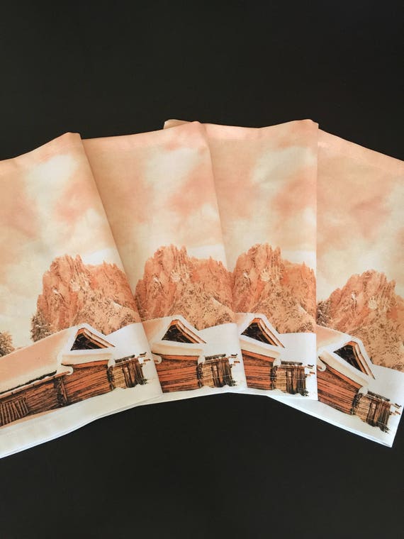 Cotton Napkins - Linen Napkins Reusable Napkins Linen Placemats Handmade Placemats Scandinavian Fabric Placemats Set