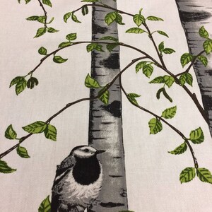 Puede incluir: Un p&aacute;jaro blanco y gris con marcas negras se posa en una rama frente a un fondo blanco con dos abedules grises y blancos y hojas verdes.