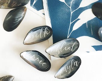 Shell Beach Destination Wedding Escort Place Cards Calligraphy on Mussel Shells
