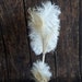 Wedding Ostrich Feather Pen Ivory Feather Pen Wedding Signing Great