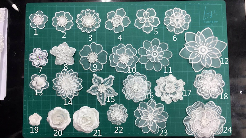 Aplique de encaje blanco roto, apliques de flores, pegatina de encaje 3D imagen 1