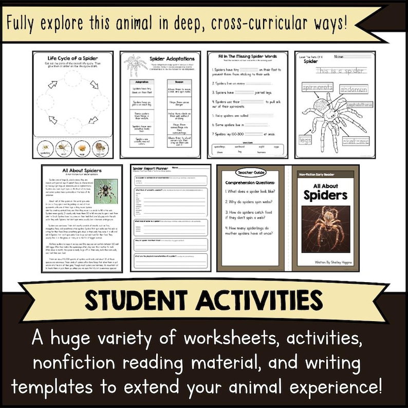 Printable SPIDERS Animal Science Unit Template Kit | DIY Articulated ...
