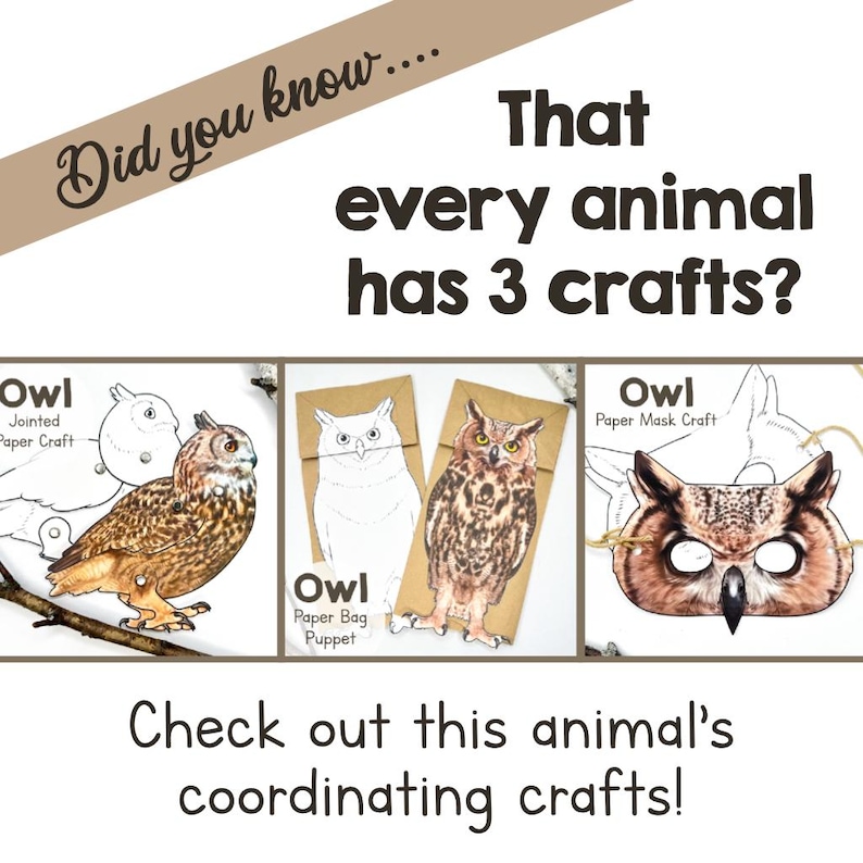 Owl Paper Bag Puppet Template Printable Craft Activity (PDF Download