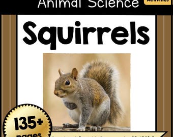 Squirrel Unit Study Printable No Prep | Animal Science Worksheets, Nonfiction Reading, Crafts & Activities | PreK Kindergarten 1st-4th