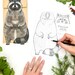 Printable Raccoon Puppet Template | Creative Paper Bag Craft | Hands-on ...