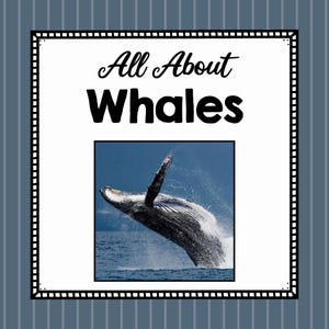 All About Whales- Animal Science Unit