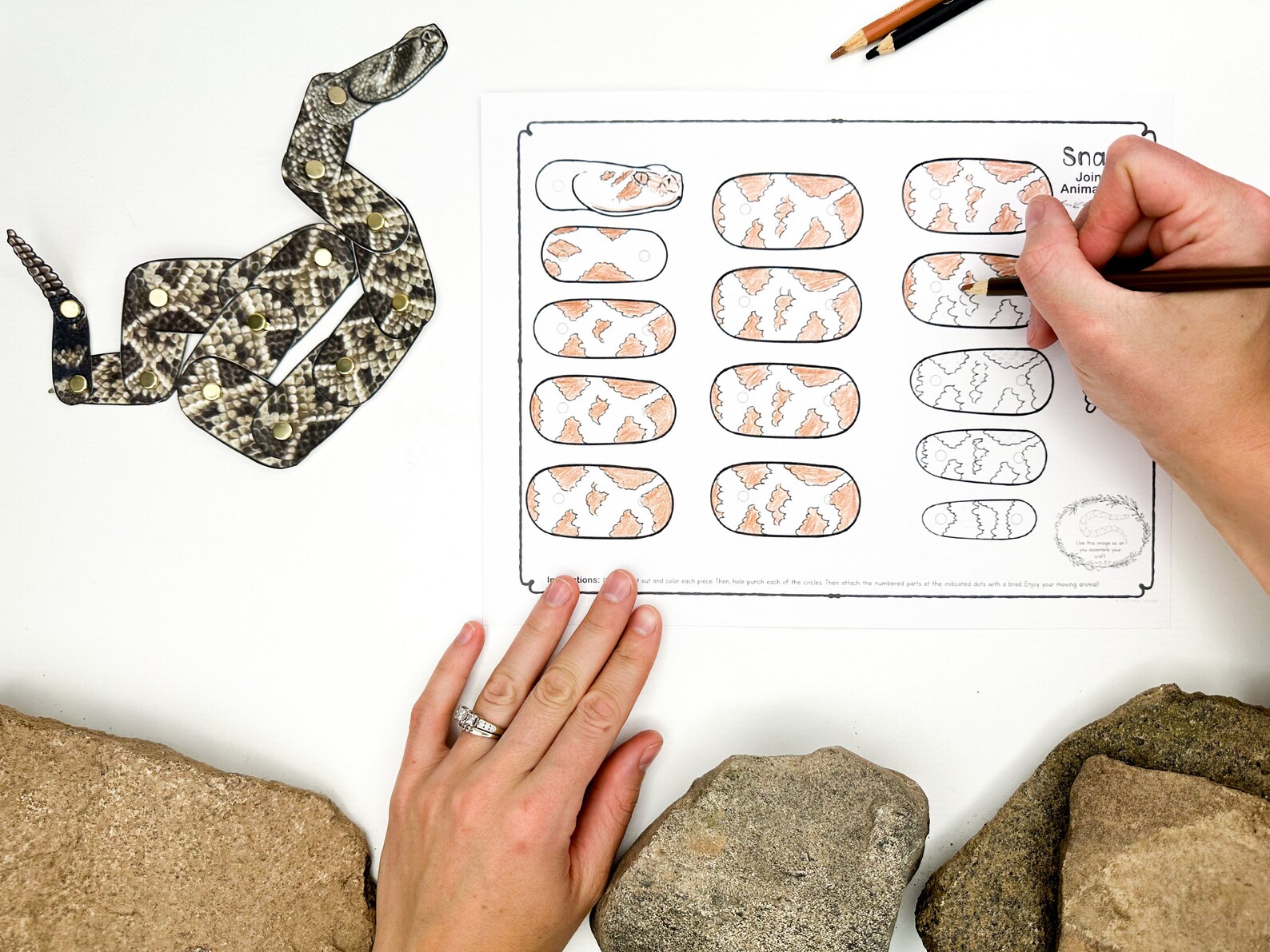 Printable Snake Craft Template | Articulated Animal Puppet for Kids ...