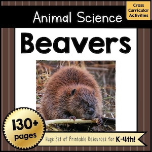 BEAVERS Science Study Unit Writing, Learning & Reading Animal Adaptation Worksheets Crafts Pre-K–4th Grade No Prep Classroom Activities PDF