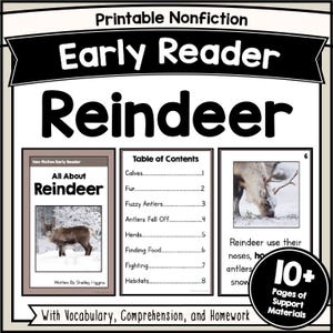 RENDIER Decodeerbaar boek Werkbladen voor vroeg lezen Begrijpend lezen Kort verhaal over dierenfeiten voor de kleuterklas Vloeiendheid 1e-2e graad pdf