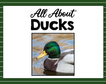 All About Ducks- Animal Science Unit