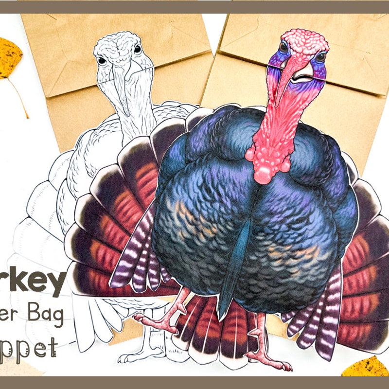 Turkey Paper - Etsy