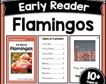 FLAMINGOS Arbeitsblätter zum Leseverständnis, kurze Sätze, Geschichte und Fragen, kurze Sätze, Lesefluss, für K-2 Leseaktivitäten, PDF