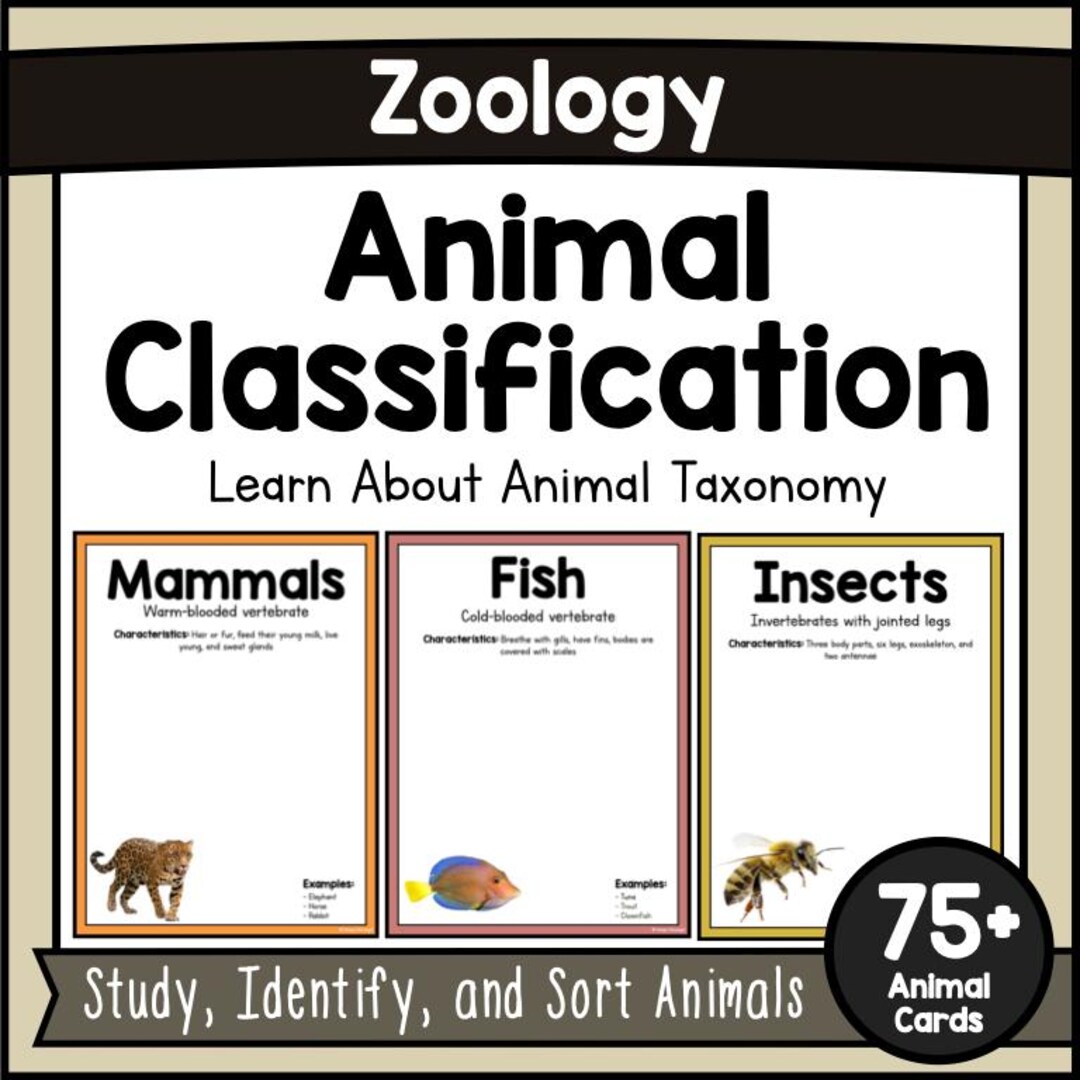 Animal Classification Sorting Activity No Prep | Zoology Unit Study ...