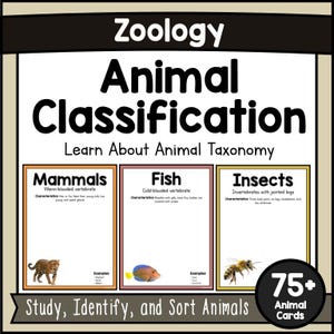 May include: Educational zoology chart with the title "Animal Classification". The chart is divided into sections for mammals, fish, and insects, each with a brief description and an example animal illustration. The chart also includes the text "Study, Identify, and Sort Animals" and "75+ Animal Cards".