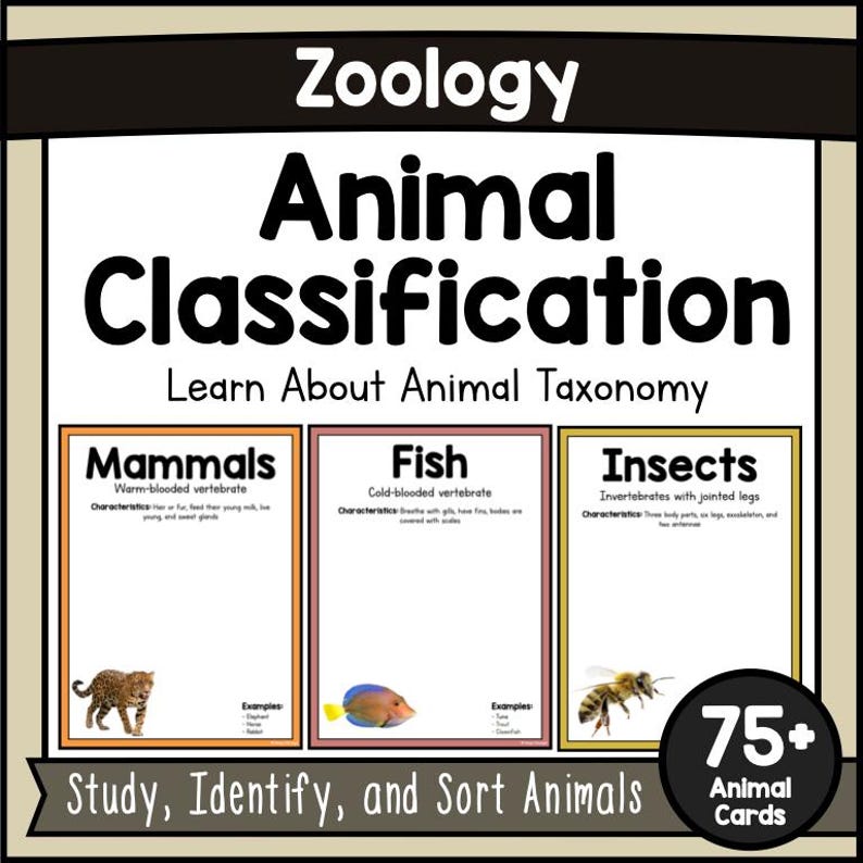 Animal Classification Sorting Activity No Prep | Zoology Unit Study ...