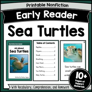 SEA TURTLES Decodable Story with Questions Fluency Passages Reading Comprehension Worksheets Vocab Learning Book K-2nd Grade Activities PDF