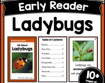 LADYBUGS Learn to Read Comprehension Worksheets Kindergarten 1st-2nd Grade Beginning Reader Story Book Decodable Passage Activities PDFs