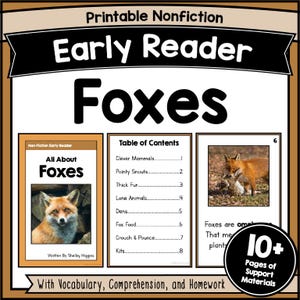 FOXES Leseverstehen Arbeitsblätter Dekodierbare fließende Passagen Kurze Tiersätze Geschichte mit Fragen für K-2 Noten Aktivitäten PDF