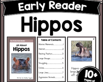 HIPPO Sentence Reading Comprehension Worksheets Decodable Fluency Passages Activities PDF for K-2 Grade Short Animal Stories with Questions