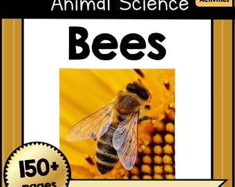 BEES Science Study Unit Animal Adaptation Worksheets Crafts Pre-K–4th Grade No Prep Classroom Early Writing Learning Reading Activities PDF