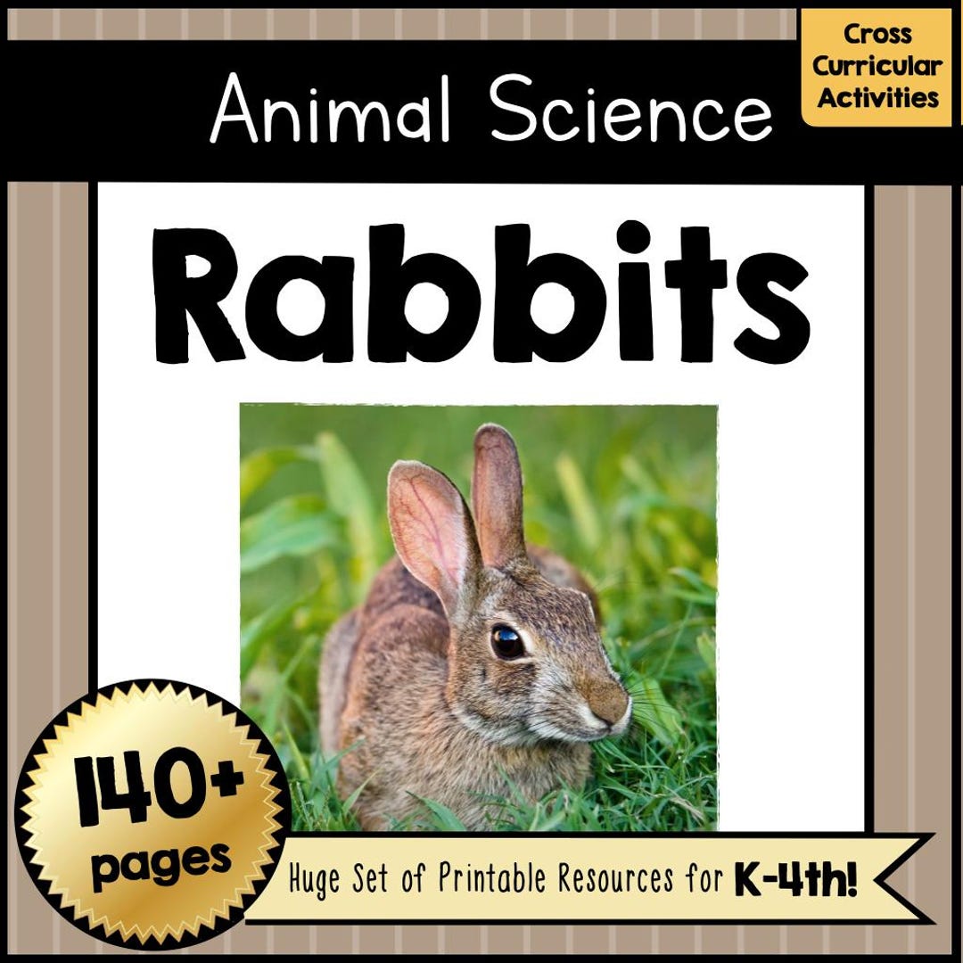 Printable RABBIT Animal Science Unit Template Kit | DIY Articulated ...
