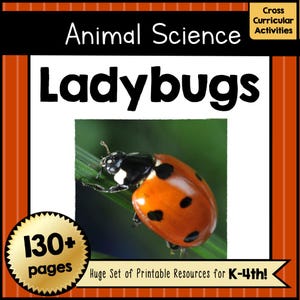 Printable LADYBUG Science Unit PDF | Life Cycle Educational WORKSHEETS, Activities & Crafts | Homeschool and Classroom Learning Resource