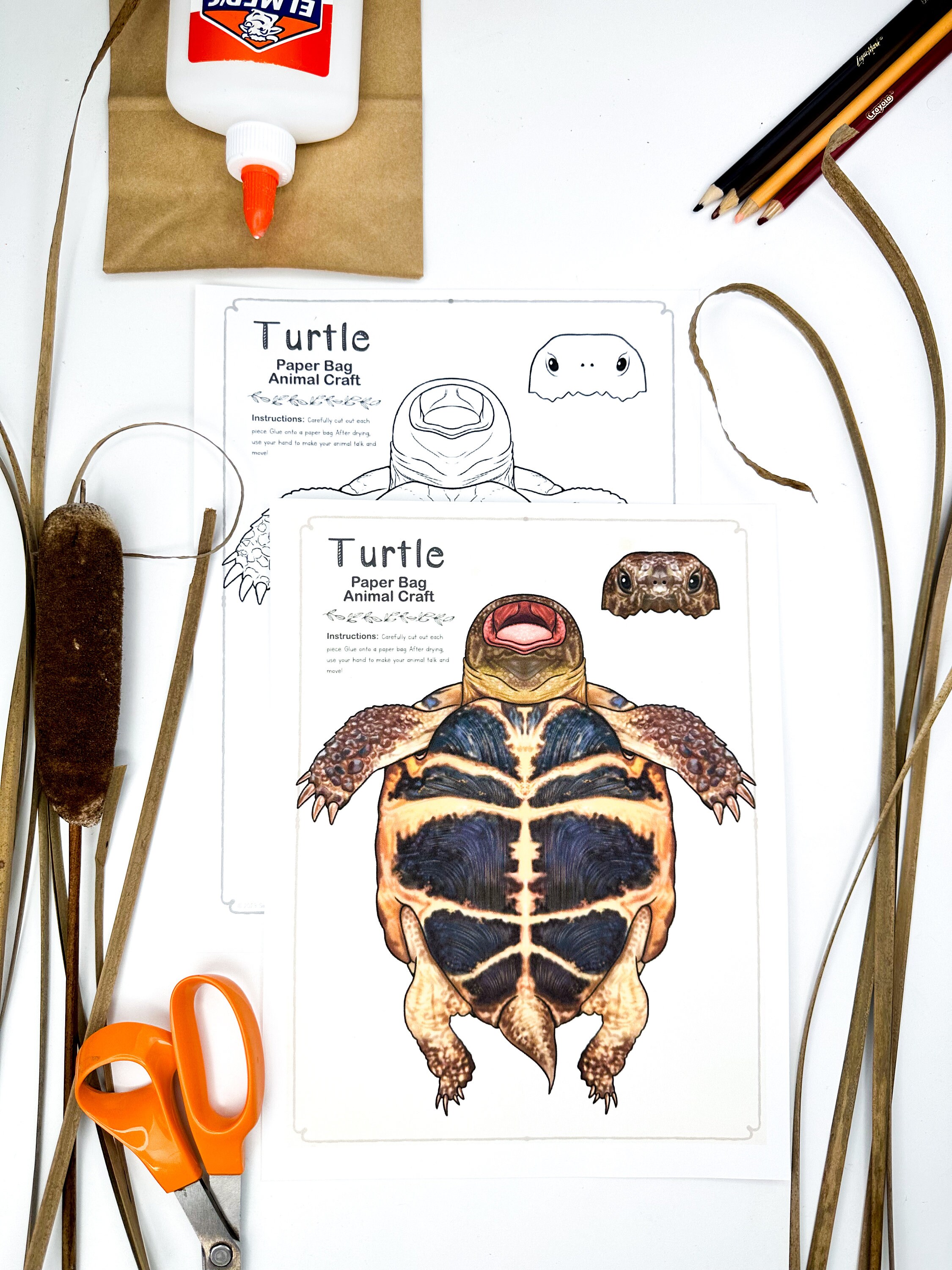 Turtle Paper Bag Puppet Printable Craft Template Turtles - Etsy