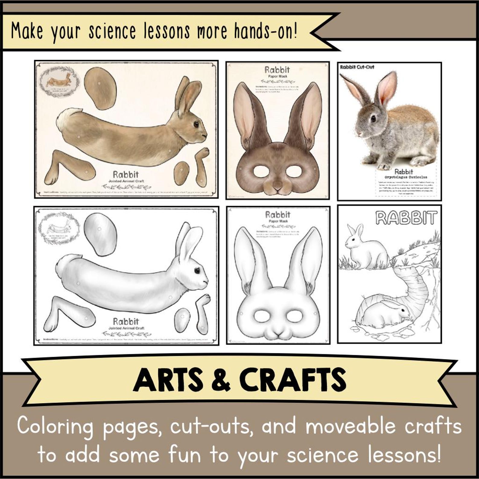 Printable RABBIT Animal Science Unit Template Kit | DIY Articulated ...