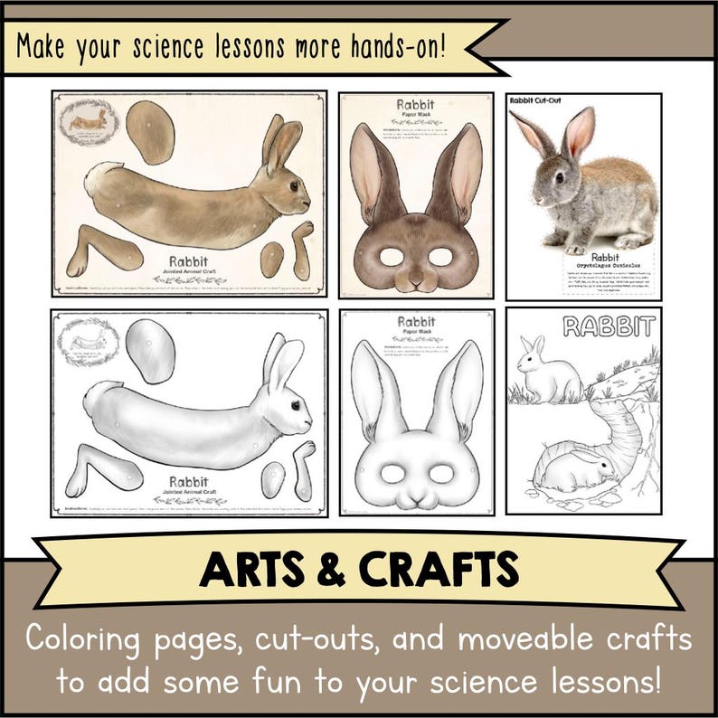 Printable RABBIT Animal Science Unit Template Kit | DIY Articulated ...