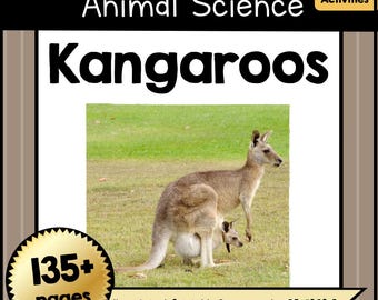 PRINTABLE All about KANGAROOS Animal Science Unit PDF | Learning Pack for Kids Classroom & Homeschool Activity