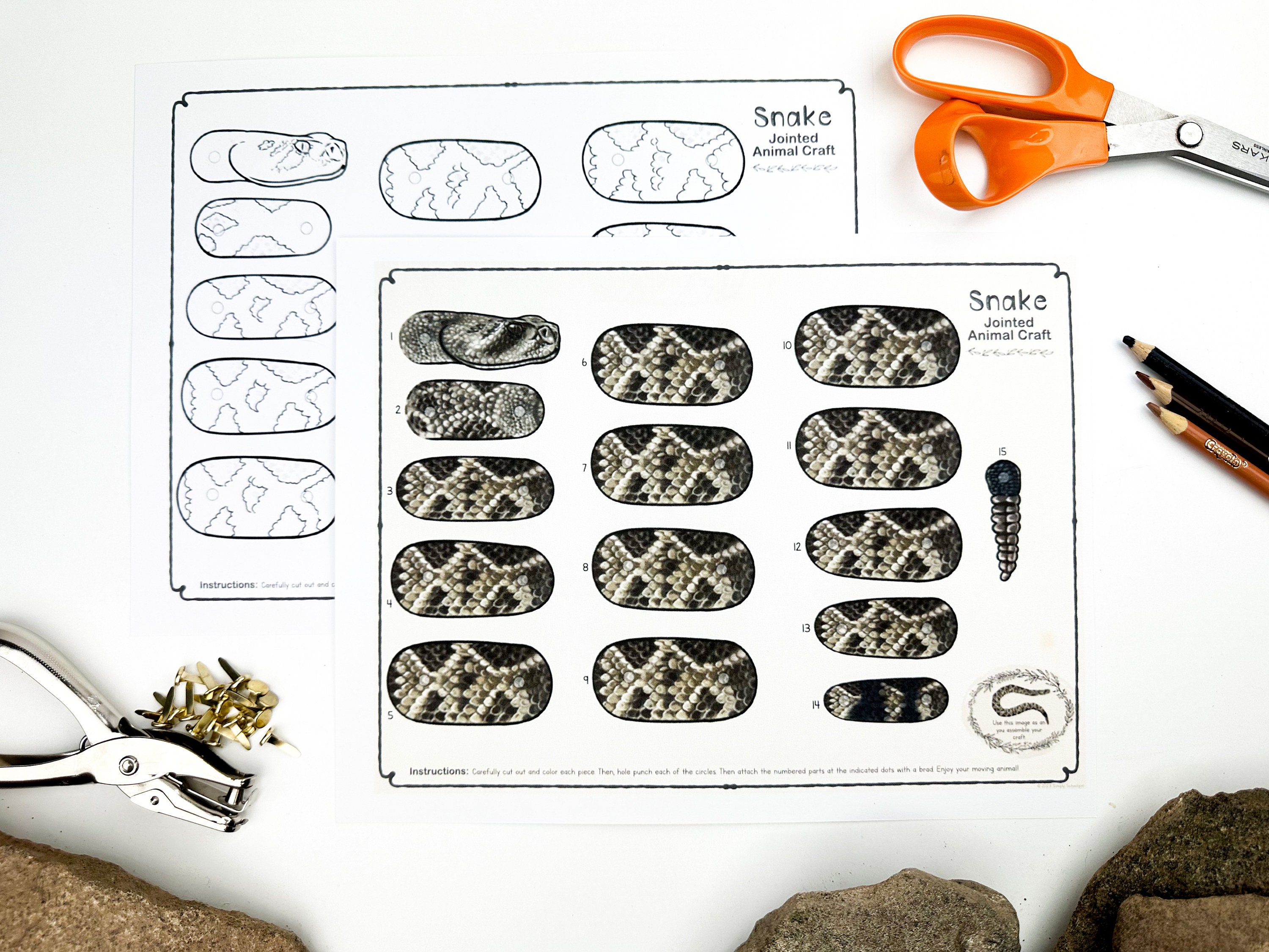 Printable Snake Craft Template | Articulated Animal Puppet for Kids ...
