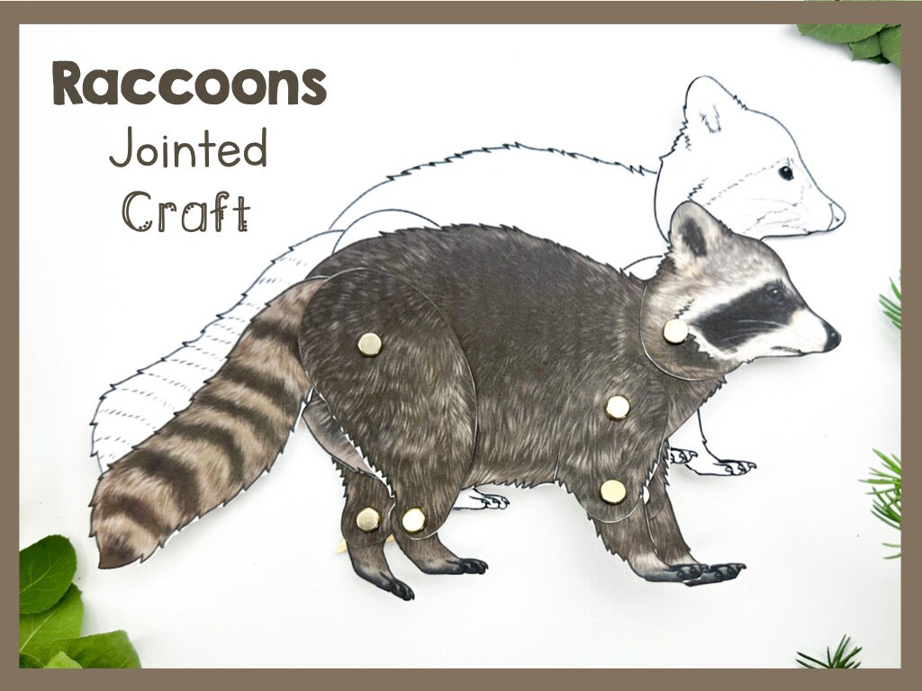 Articulated Raccoon Craft Template | Jointed Animal Puppet | Printable ...