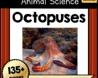 PRINTABLE All About OCTOPUSES | 130+ Page Animal Science Unit PDF | Octopus Worksheets, Posters & Activities For Pre-K–4th Grade