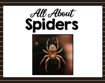 All About Spiders- Animal Science Unit