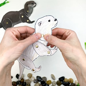 Printable Otter Craft Template | Articulated Jointed Animal | Woodland ...