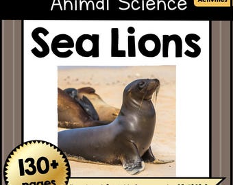 Druckbare SEA LION Animal Science Einheit Template Kit | DIY artikulierte Ozean Tier PDF | Kreatives Spielen für Kinder und Aktivitäten im Klassenzimmer