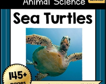 Unidad didáctica imprimible sobre el ciclo de vida de las tortugas marinas / Actividad de estudio de animales marinos para niños / Hoja de trabajo para el aula de biología marina (PDF)