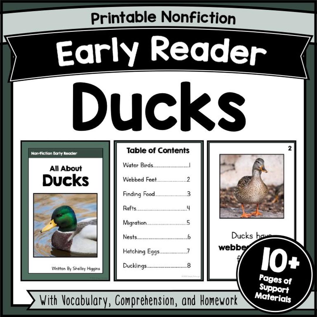 DUCKS Fluency in Reading Comprehension Worksheets Stories With Question ...