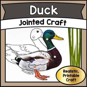 Printable Jointed DUCK Puppet Craft Template Kit | DIY Articulated Bird Animal PDF | Kids Creative Play & Homeschool Activity