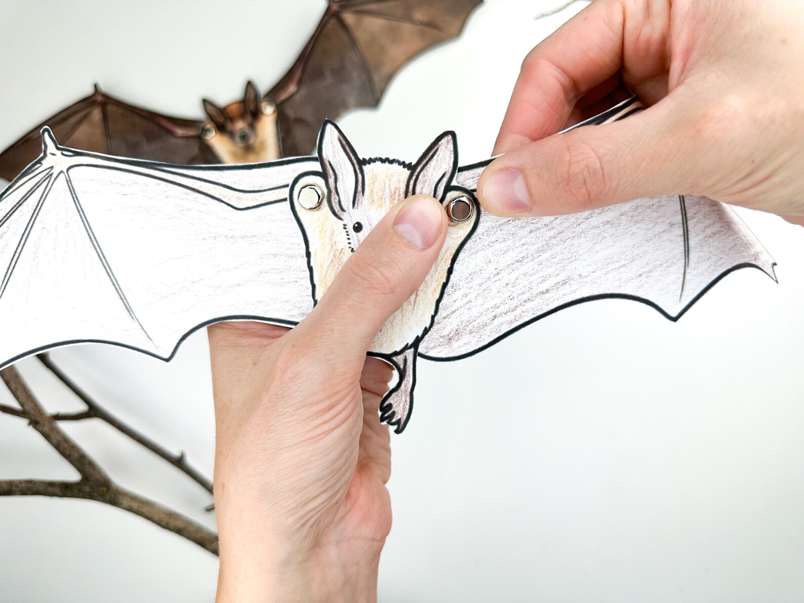 Printable Jointed BAT Puppet Craft Template Kit | DIY Articulated ...