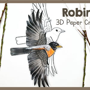 Kit di creazione di carta 3D Robin / Modello di uccello sospeso / Decorazione da appendere per appassionati della natura per ornitologi / Modello Robin stampabile unico