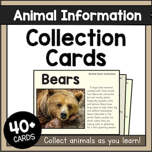 May include: Educational collection cards featuring animal facts. The image shows a card with a bear illustration and text, part of a set of 40+ cards. The cards are designed to help people learn about animals.