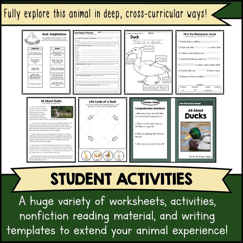 DUCKS Animal Unit Study Adaptation Worksheets & Crafts Pre-k–4th Grade ...