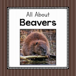 All About Beavers- Animal Science Unit