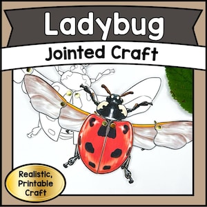 Ladybug Jointed Paper Craft Printable Moving Animal Art Activity Realistic Bug Craft Kids, Science Unit Study Lesson, Classroom STEM Project