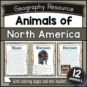 May include: A geography resource titled "Animals of North America" with a black banner. The image features information cards about the bison and raccoon, including facts and illustrations. The image also includes a "12 Animals" badge.