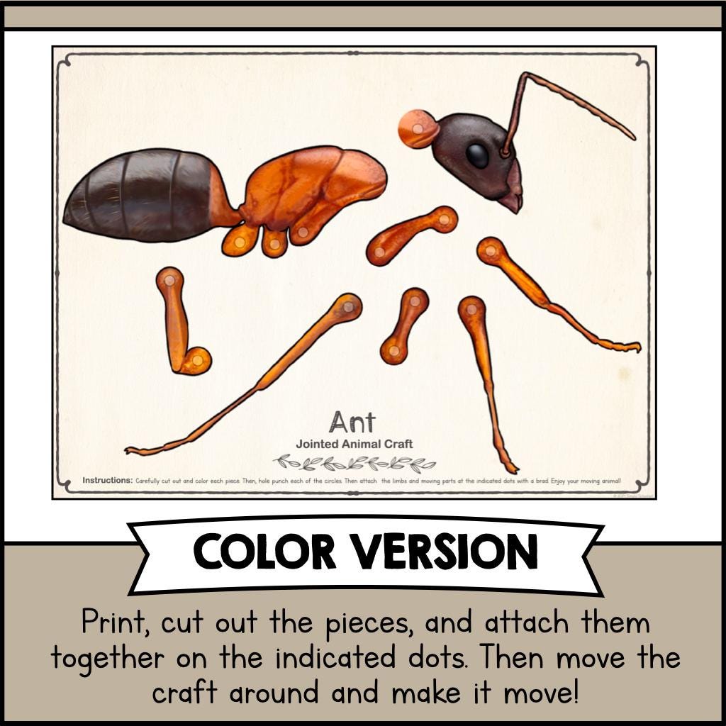 ARTICULATED Ant Paper Craft Kit | Printable Jointed Insect Template ...