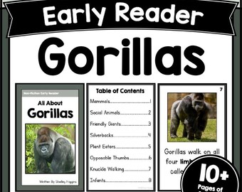 GORILLAS Short Animal Sentence Story Reading Comprehension Worksheets Decodable Passages Fluency Activities PDF for K-2 Grade Practices