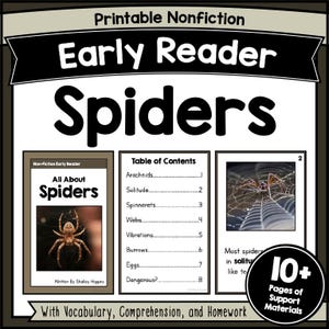 Spider Nonfiction Early Reader Book, Reading Comprehension Activities, Decodable Passages, Kindergarten 1st 2nd Grade Literacy Unit PDF